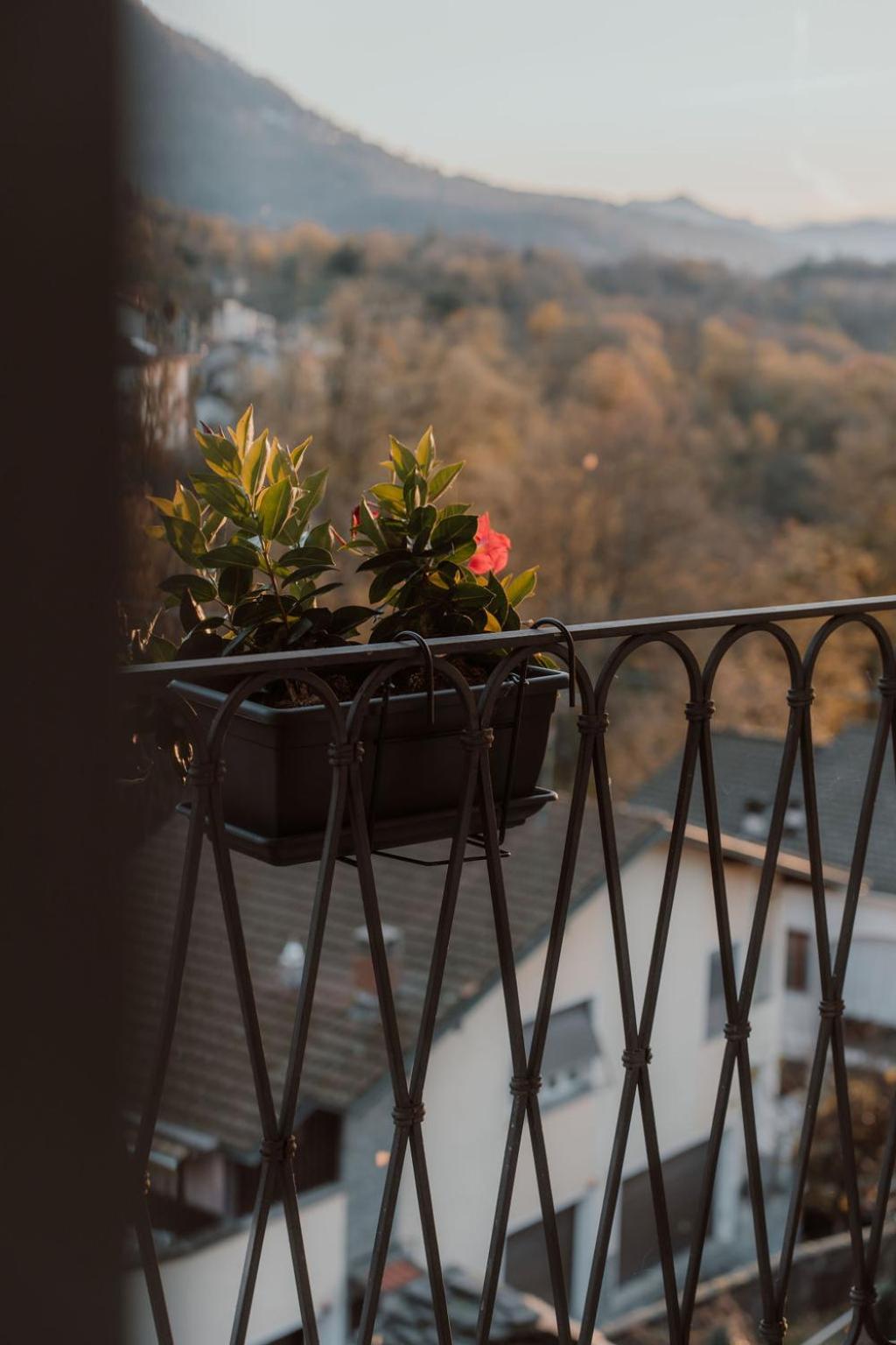 Guesthouse Giulietta E Romeo Cossogno Ngoại thất bức ảnh